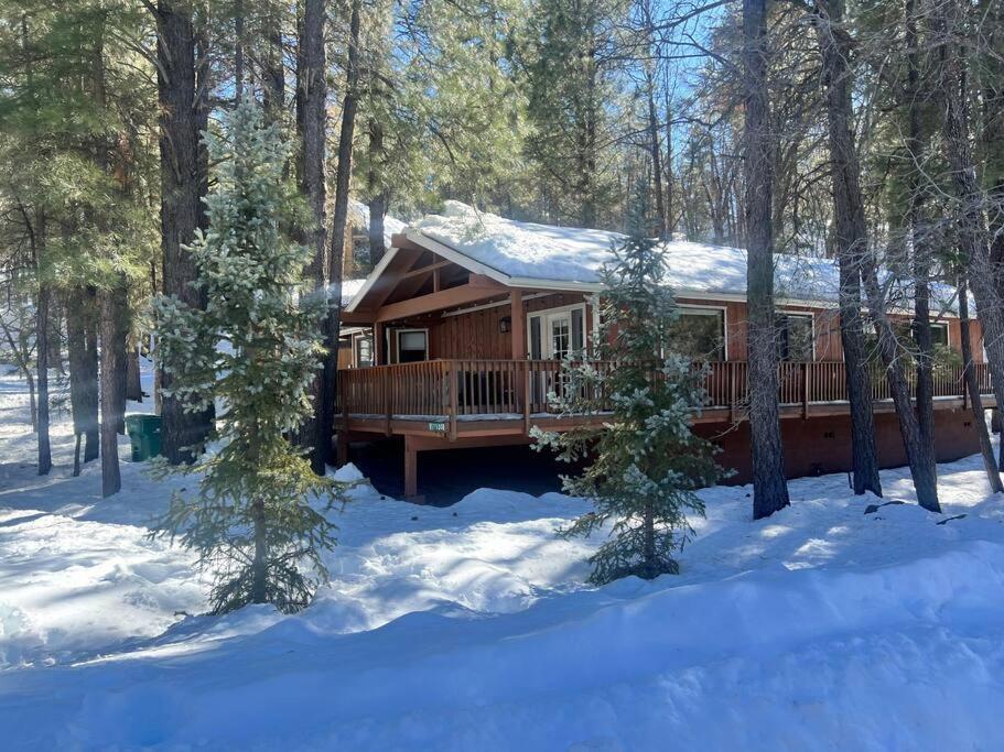The Bluejay Cabin At Munds Park, Az! Σεντόνα Εξωτερικό φωτογραφία