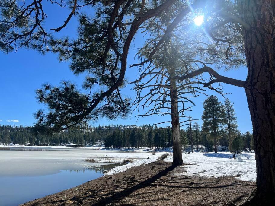The Bluejay Cabin At Munds Park, Az! Σεντόνα Εξωτερικό φωτογραφία