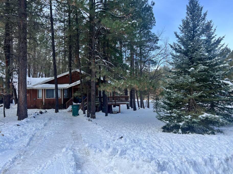 The Bluejay Cabin At Munds Park, Az! Σεντόνα Εξωτερικό φωτογραφία