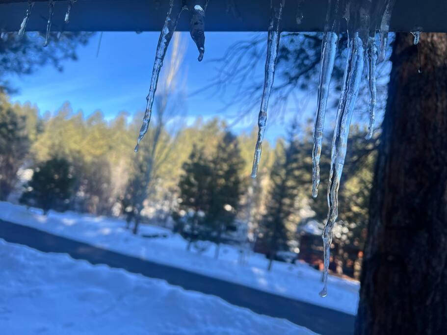 The Bluejay Cabin At Munds Park, Az! Σεντόνα Εξωτερικό φωτογραφία