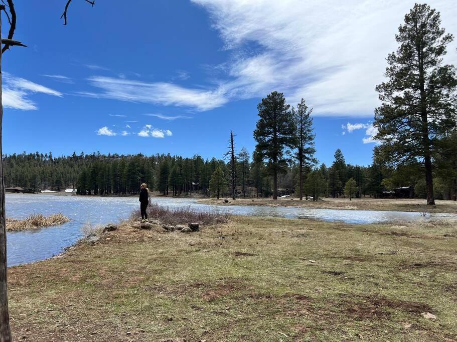 The Bluejay Cabin At Munds Park, Az! Σεντόνα Εξωτερικό φωτογραφία