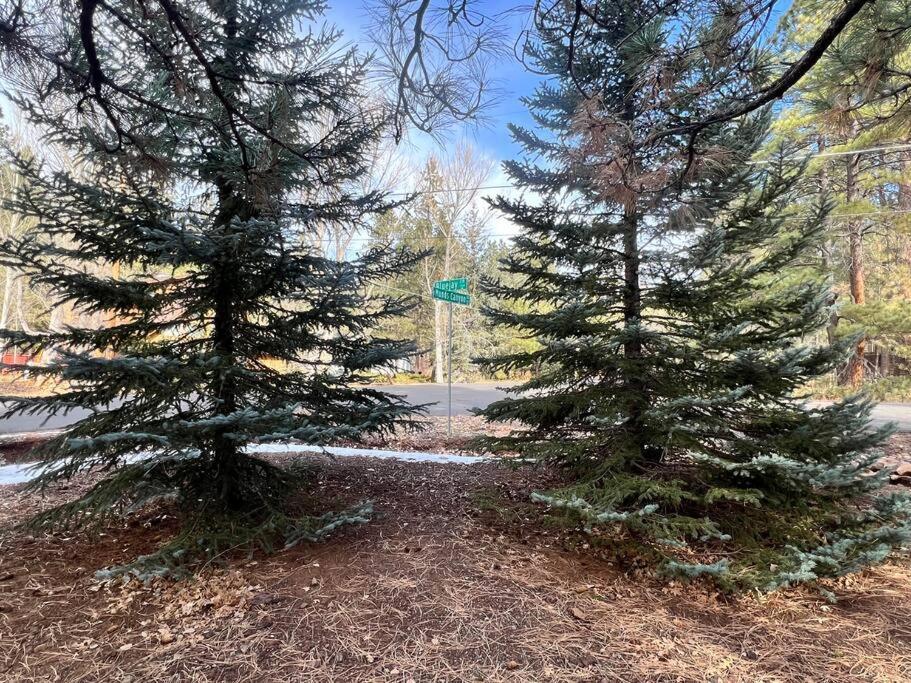 The Bluejay Cabin At Munds Park, Az! Σεντόνα Εξωτερικό φωτογραφία