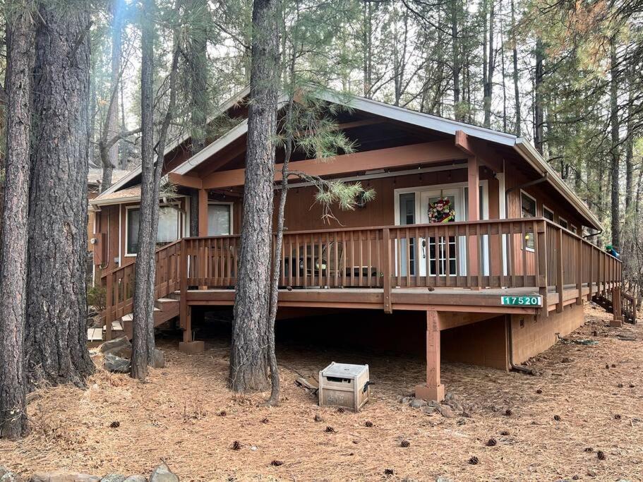 The Bluejay Cabin At Munds Park, Az! Σεντόνα Εξωτερικό φωτογραφία