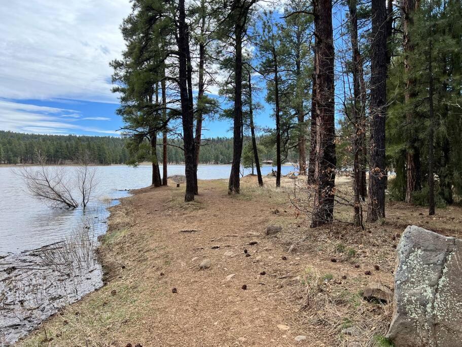 The Bluejay Cabin At Munds Park, Az! Σεντόνα Εξωτερικό φωτογραφία