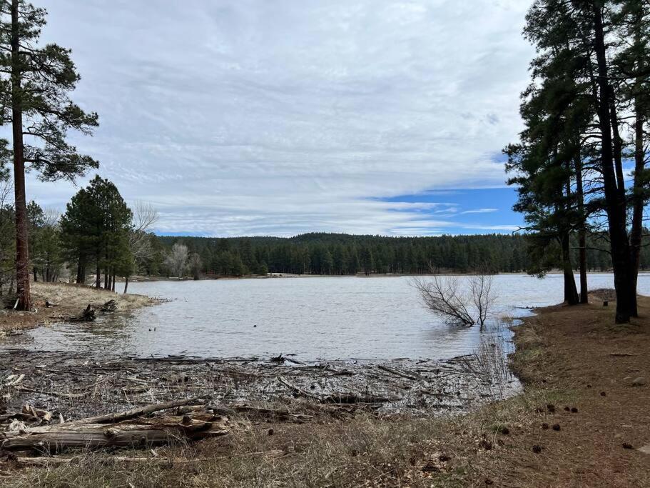 The Bluejay Cabin At Munds Park, Az! Σεντόνα Εξωτερικό φωτογραφία